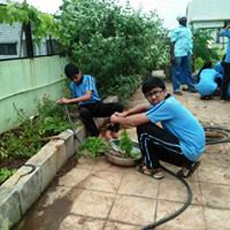 activities